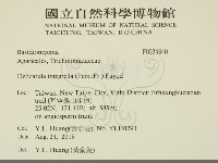 登錄號:F0034840藏品圖，第2張