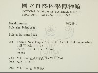 登錄號:F0034841藏品圖，第2張