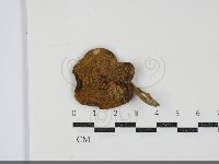 登錄號:F0034841藏品圖，第1張