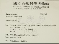 登錄號:F0034842藏品圖，第2張