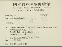 小菇屬藏品圖，第2張