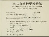 登錄號:F0034844藏品圖，第2張