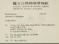 登錄號:F0034845藏品圖，第2張