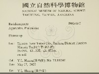 登錄號:F0034847藏品圖，第2張