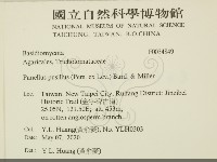 登錄號:F0034849藏品圖，第2張