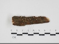 登錄號:F0034849藏品圖，第1張