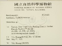 小皮傘屬藏品圖，第2張