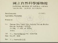 登錄號:F0034852藏品圖，第2張