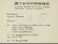 登錄號:F0034853藏品圖，第2張