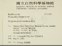 登錄號:F0034855藏品圖，第2張