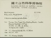 登錄號:F0034856藏品圖，第2張