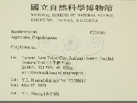 登錄號:F0034861藏品圖，第2張