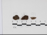 登錄號:F0034861藏品圖，第1張