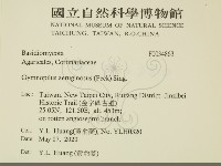 登錄號:F0034863藏品圖，第2張