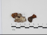 登錄號:F0034863藏品圖，第1張