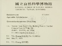 登錄號:F0034864藏品圖，第2張