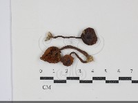 登錄號:F0034864藏品圖，第1張