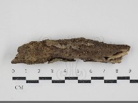 登錄號:F0034867藏品圖，第1張