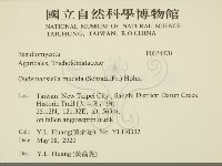 登錄號:F0034870藏品圖，第2張