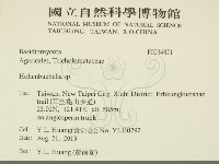 登錄號:F0034871藏品圖，第2張