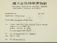 登錄號:F0034873藏品圖，第2張