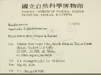 登錄號:F0034874藏品圖，第2張