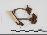 登錄號:F0034874藏品圖，第3張