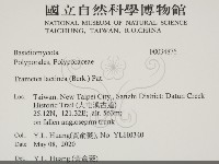 登錄號:F0034876藏品圖，第2張