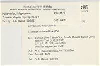 登錄號:F0034876藏品圖，第4張