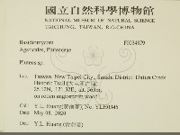 登錄號:F0034879藏品圖，第2張