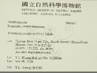 登錄號:F0034880藏品圖，第2張