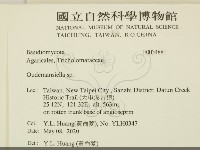 登錄號:F0034881藏品圖，第2張