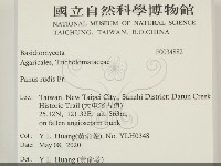 登錄號:F0034882藏品圖，第2張