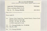 登錄號:F0034882藏品圖，第3張