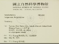 登錄號:F0034883藏品圖，第2張