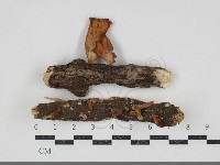 登錄號:F0034883藏品圖，第1張