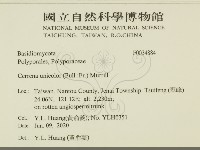 登錄號:F0034884藏品圖，第2張