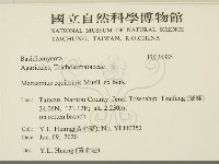 登錄號:F0034885藏品圖，第2張