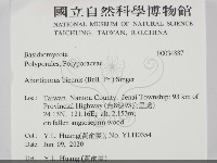 登錄號:F0034887藏品圖，第2張