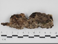 登錄號:F0034887藏品圖，第1張