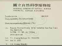 登錄號:F0034889藏品圖，第2張