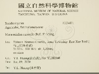 登錄號:F0034891藏品圖，第2張