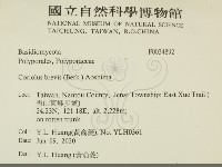 登錄號:F0034892藏品圖，第2張