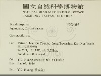 登錄號:F0034895藏品圖，第2張