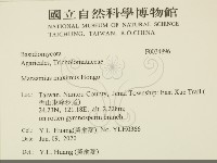 登錄號:F0034896藏品圖，第2張