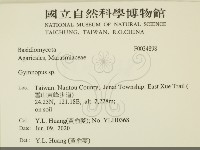 登錄號:F0034898藏品圖，第2張