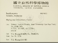 登錄號:F0034903藏品圖，第2張