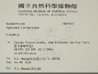 登錄號:F0034905藏品圖，第2張