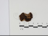 登錄號:F0034906藏品圖，第3張