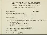 小皮傘屬藏品圖，第2張